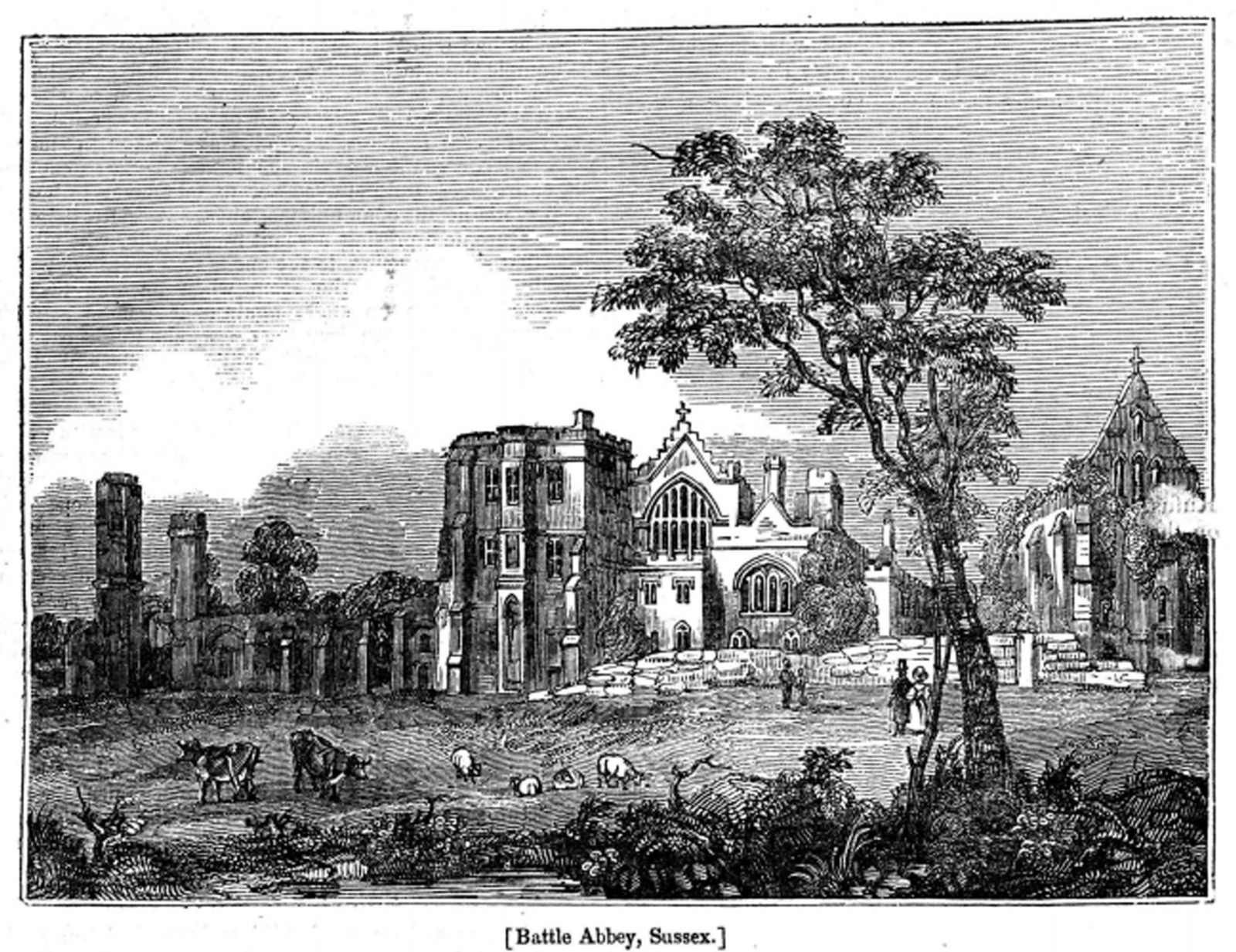 Brett Battle Abbey-pic1.png